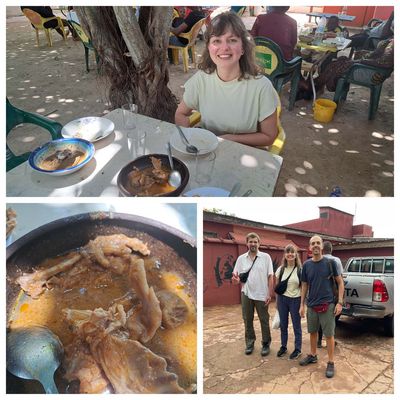 Collage of travel pictures (group picture in front of cars, pictures of dining)