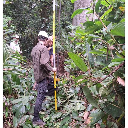 Person with slingshot in the rainforest