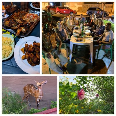 Collage of pictures of joint farewell dinners (dishes, laid table, deer on outside railings)