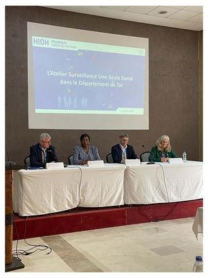 Four people sit in front of a screen