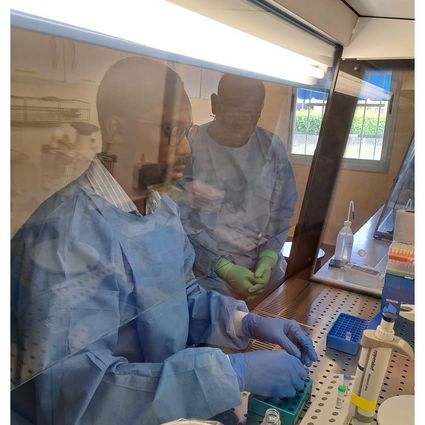 Scientist processes samples under sterile workbench