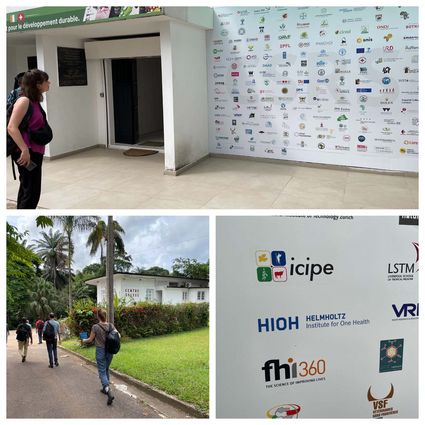 Collage - images of partnerships (including logos)