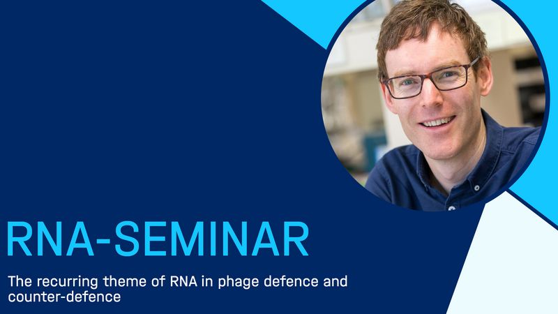 RNA-Seminar: Peter Fineran