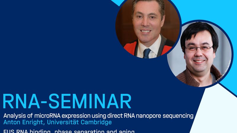 RNA-Seminar: Anton Enright & Frédéric Allain